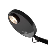 Demetra Professional LED Table Lamp with Base