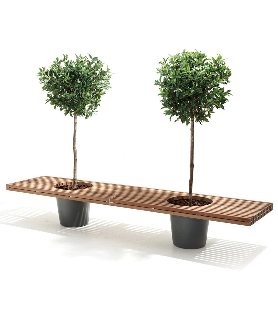 Extremis Romeo + Juliet bench, with two potted trees inside wood slatted top.