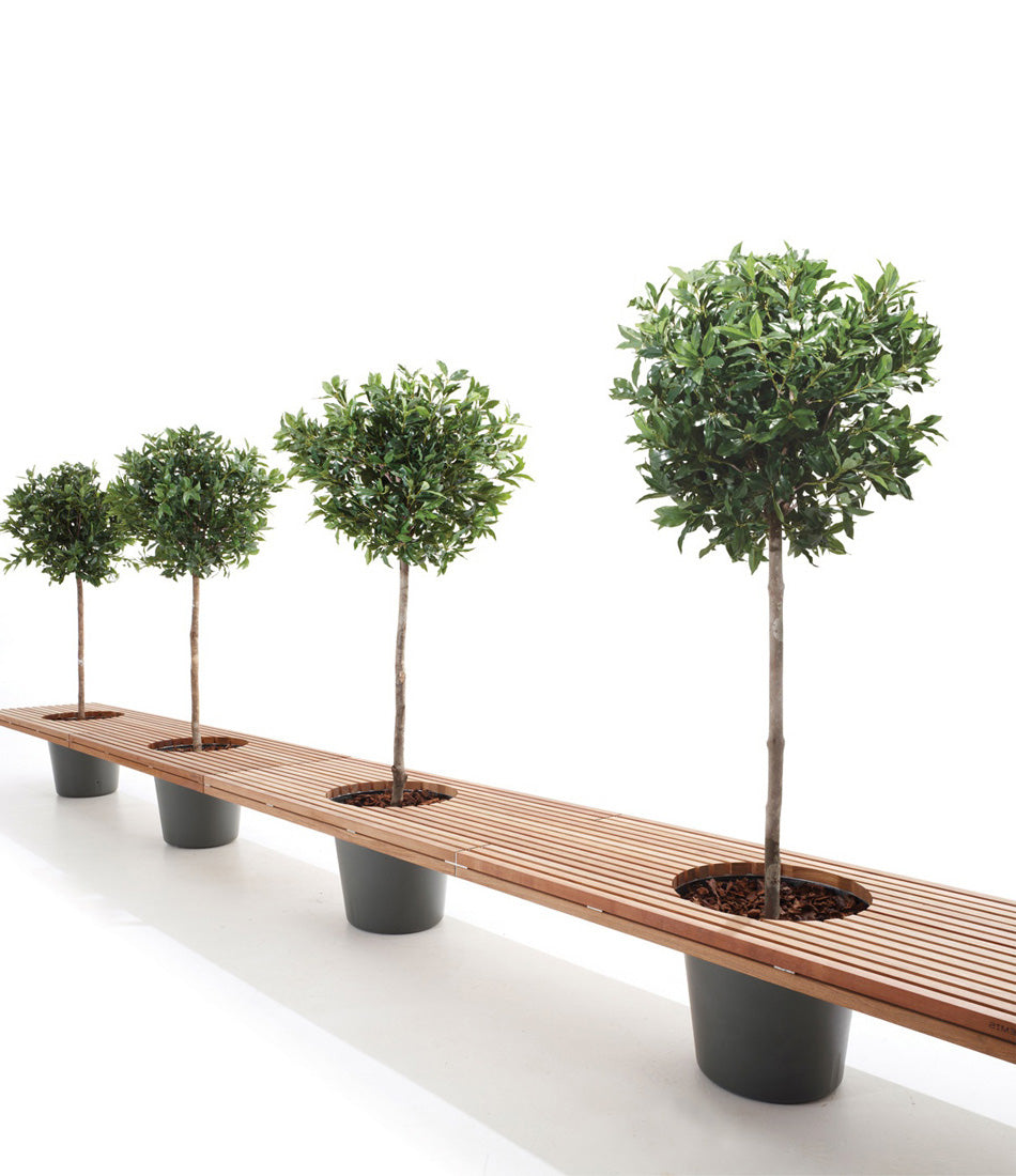 Two Extremis Romeo + Juliet benches in sequence, containing four potted trees.